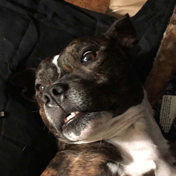 Meet your Posher, Janell - Picture 6 of 8